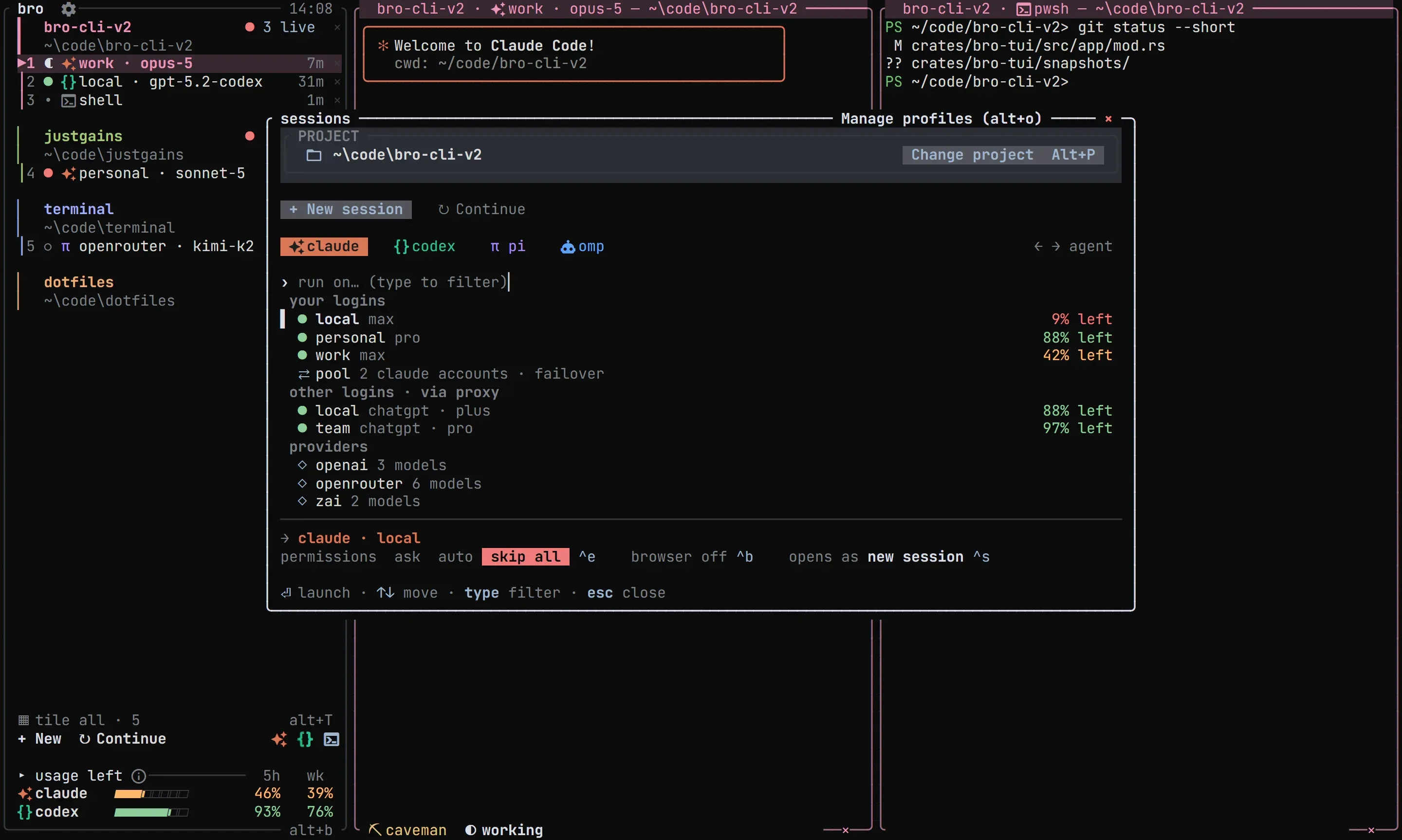 bro new-session launcher with agents, logins and providers
