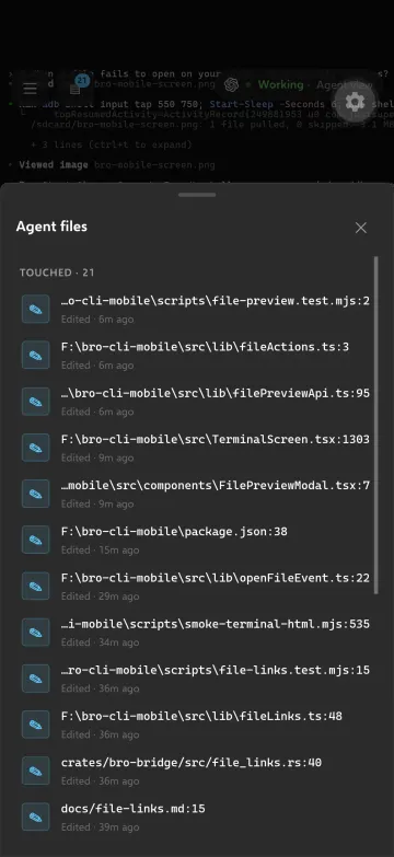 Mobile companion listing files the agent touched