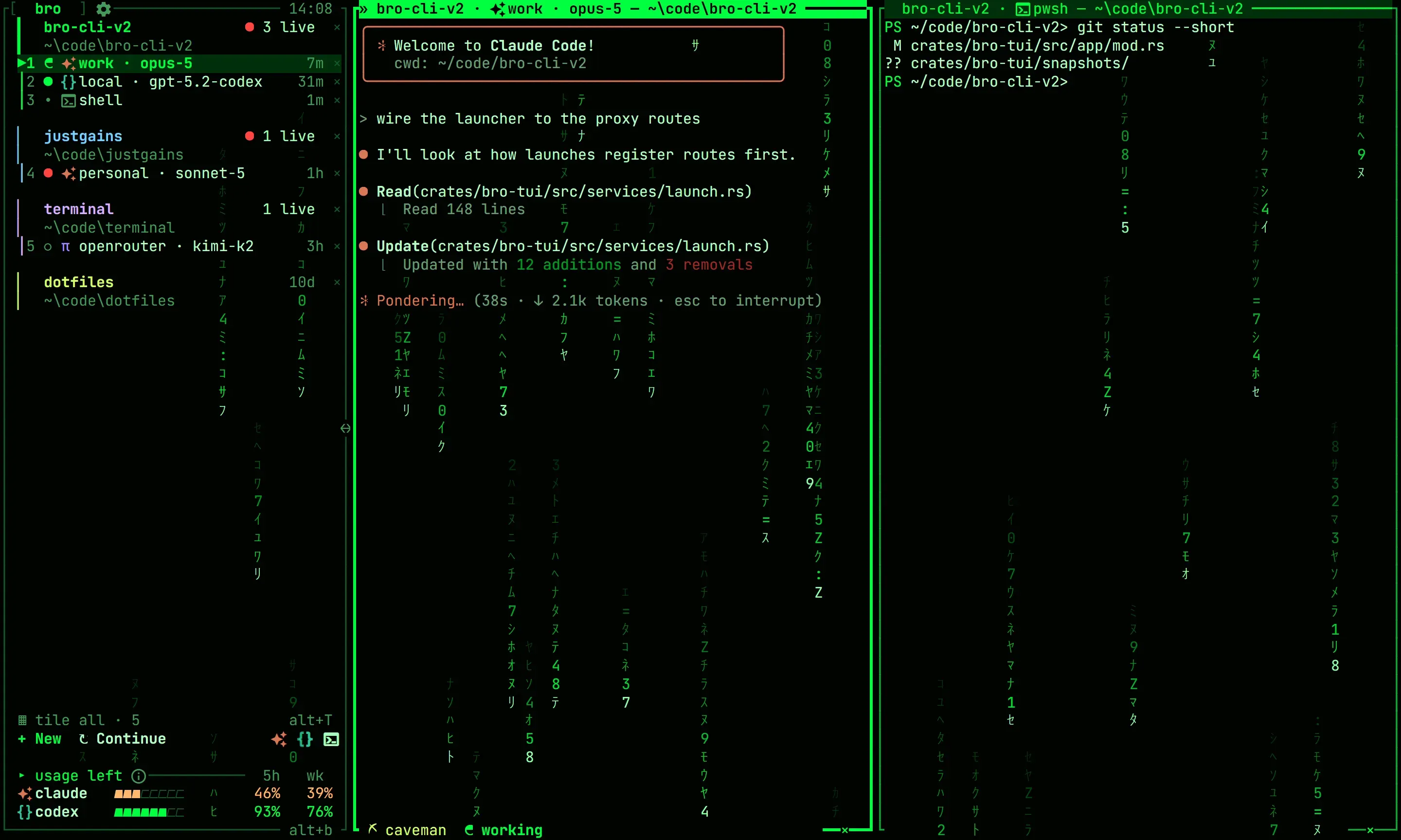 bro in the digital-rain theme